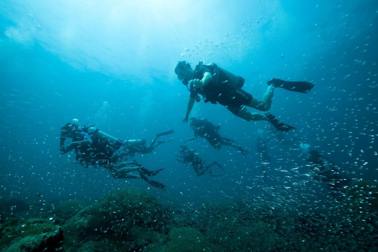 Tilar Siro Andamans - A Cgh Earth Experience